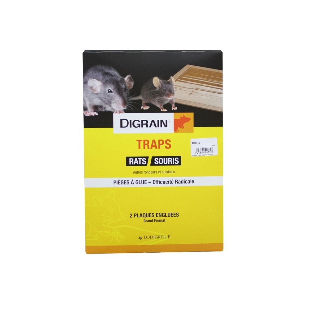 Piège collant DIGRAIN