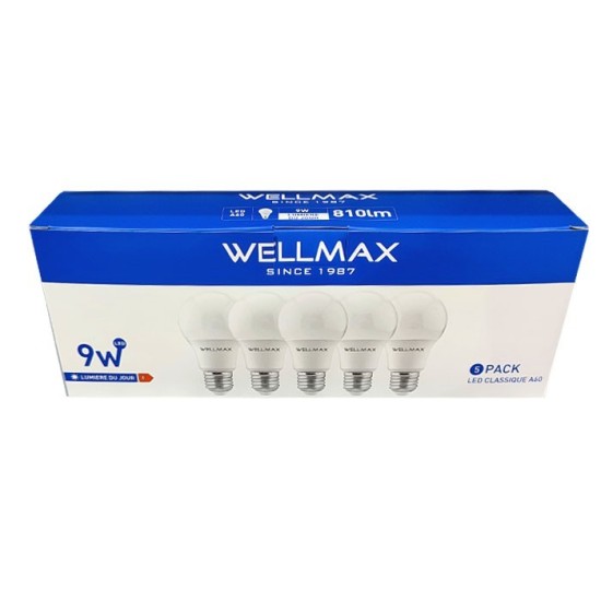 BOITE DE 5 AMPOULES LED 9W