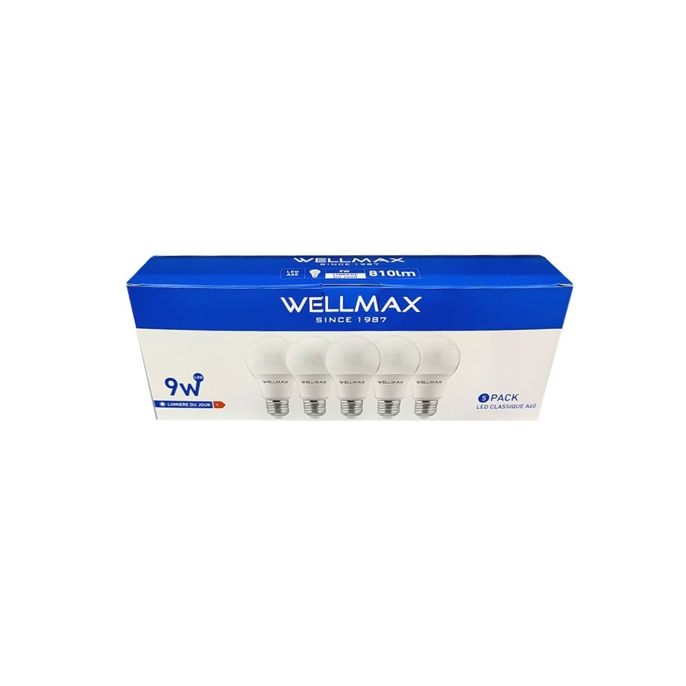 BOITE DE 5 AMPOULES LED 9W