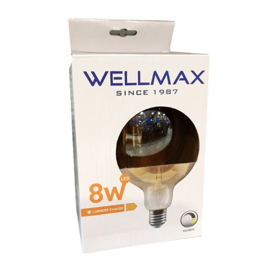 AMPOULE LED A FILAMENT 8W