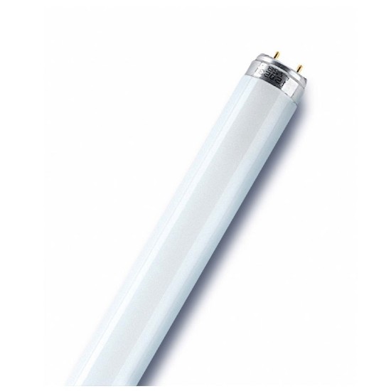 Tube Fluorescent L18W/865 LUMIERE DU JOUR