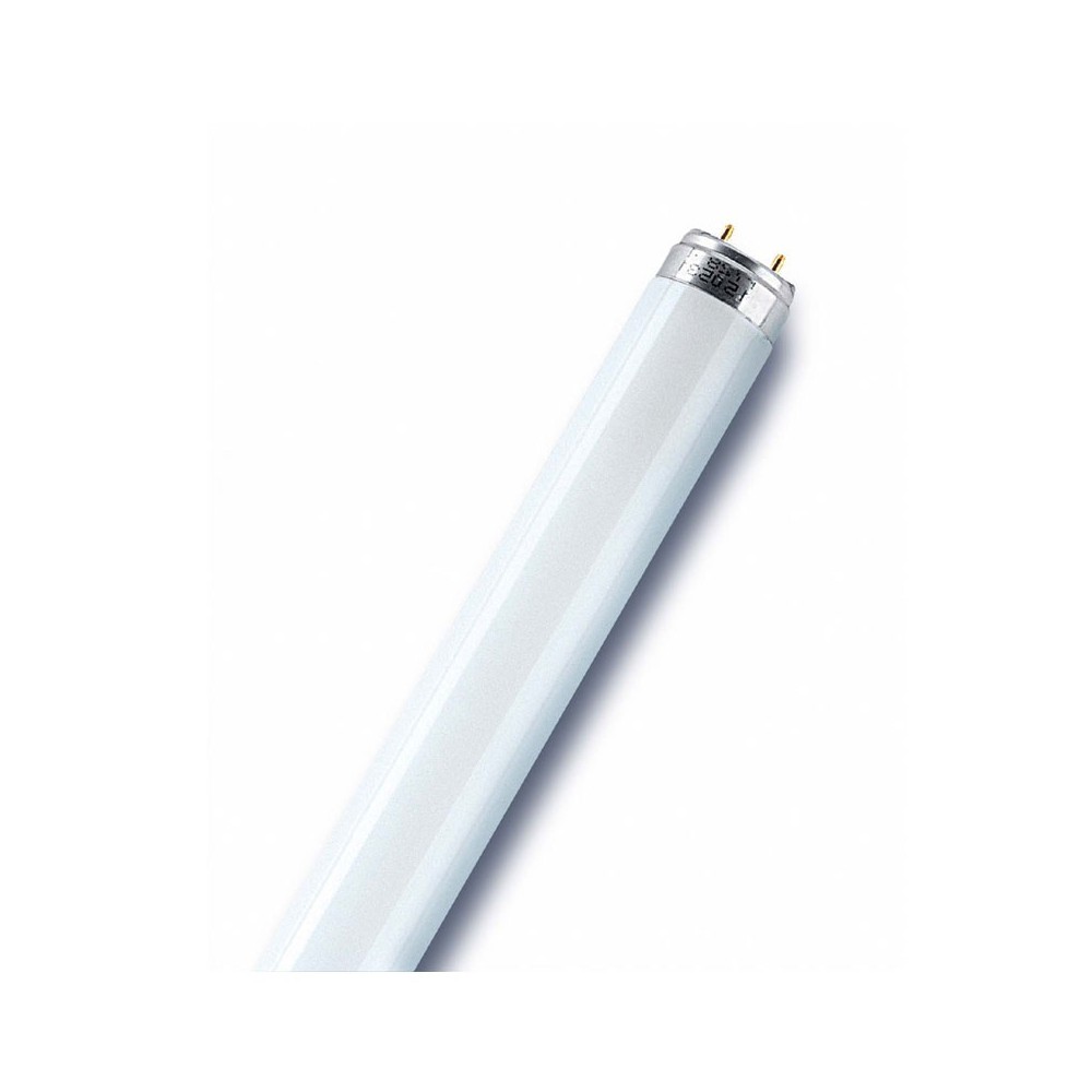 Tube Fluorescent L18W/865 LUMIERE DU JOUR